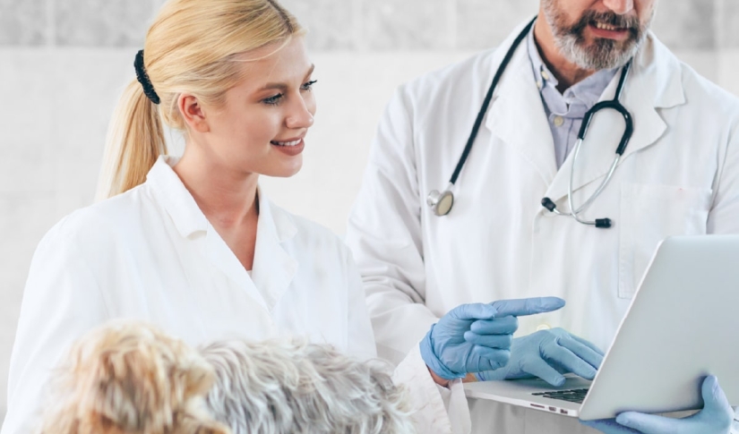 Vet and Nurse