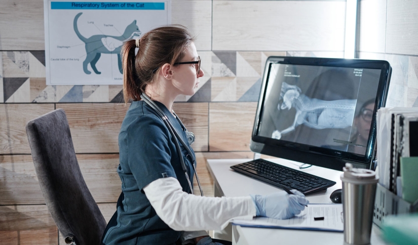 Veterinary using AI on computer