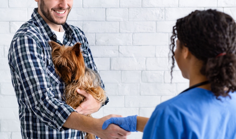 Vet and Patient shaking hands