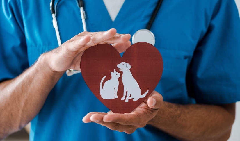 Vet holding a sign that looks like a logo