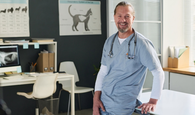 Vet in desk