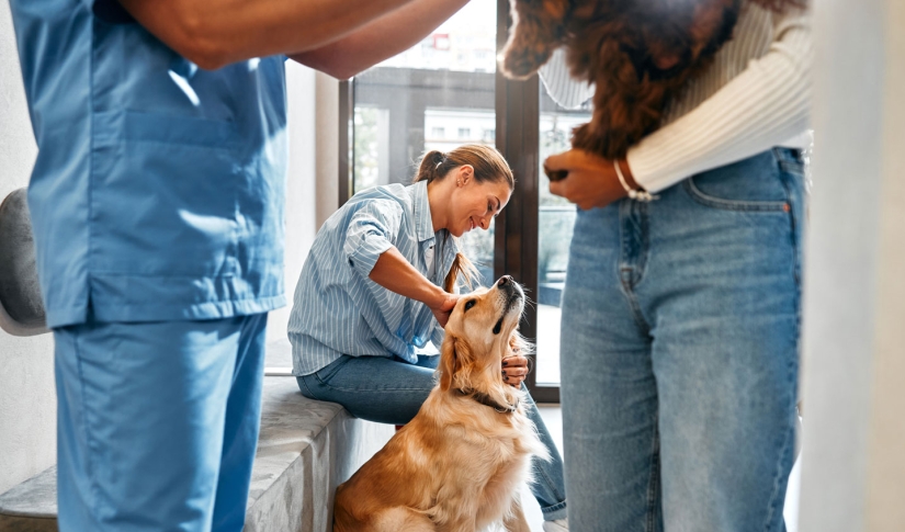 Marketing for vet practices