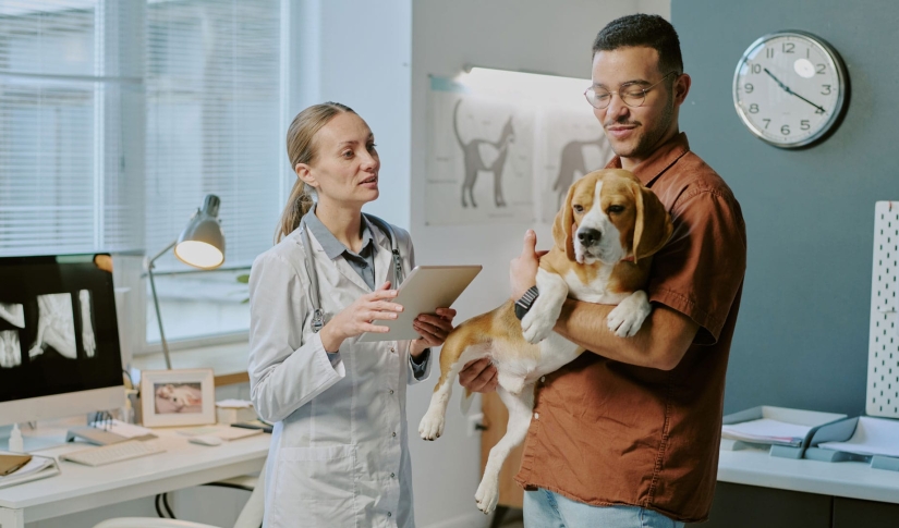 Vet and Pet owner talking