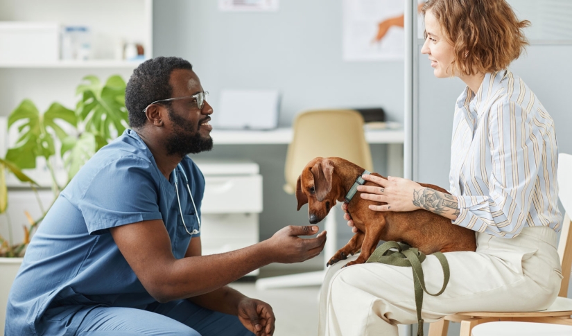 Vet and Patient