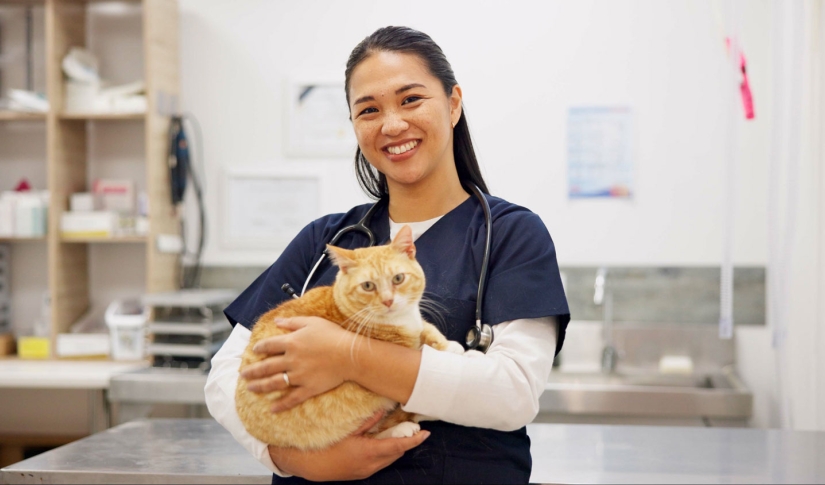 Vet and Cat