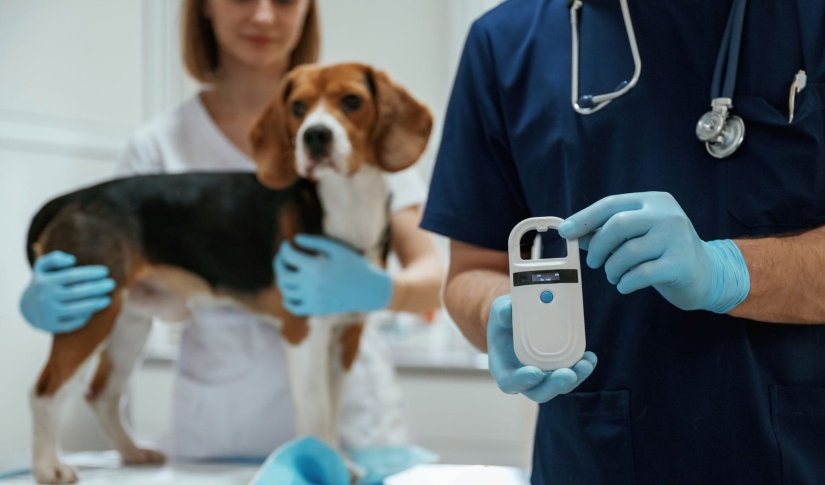 Pet and wearable technology