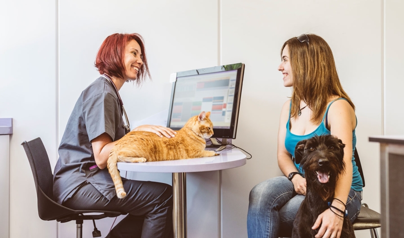 Vet getting feedback from patient