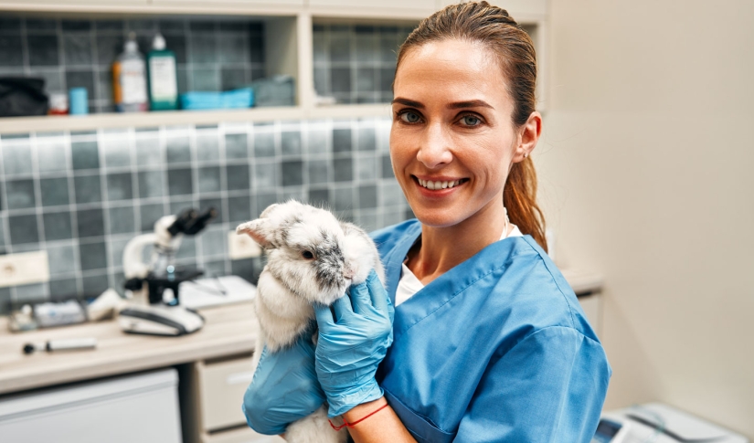 Veterinarian with bunny