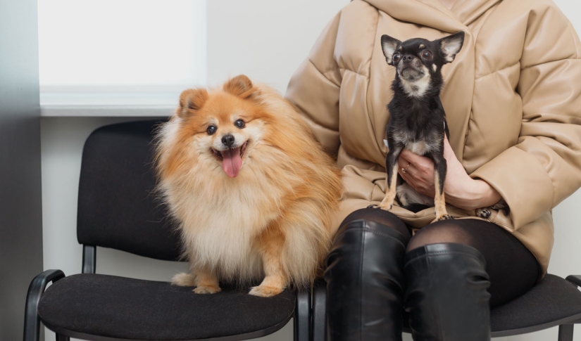Reduce client wait times