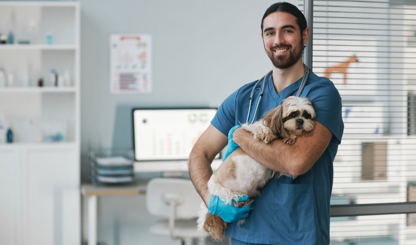 AI and Vet