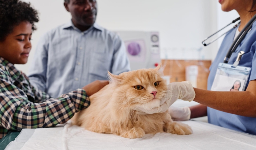 Preventive Care