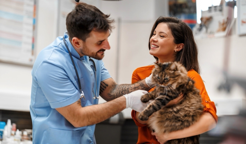 5 Tools to Improve Veterinary Client Communication in 2025