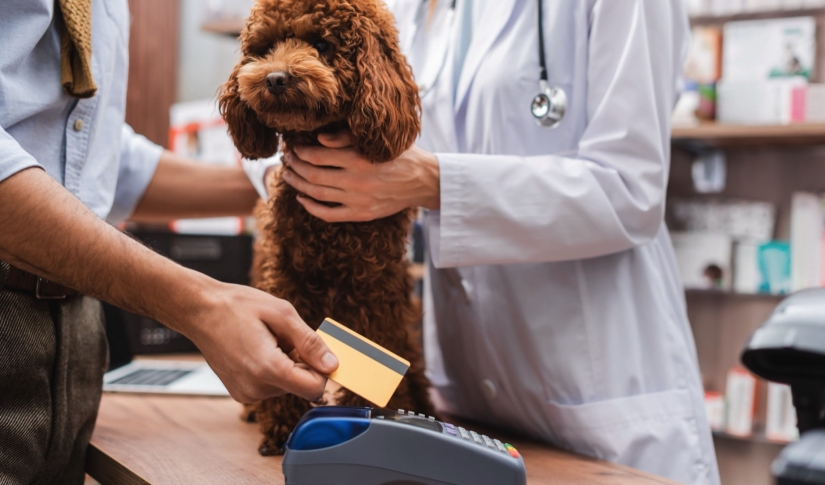 5 Ways Integrated Payments Can Improve Financial Efficiency in Your Veterinary Clinic