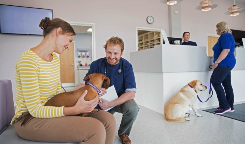 7 Ways to Boost Veterinary Profitability Without Raising Prices