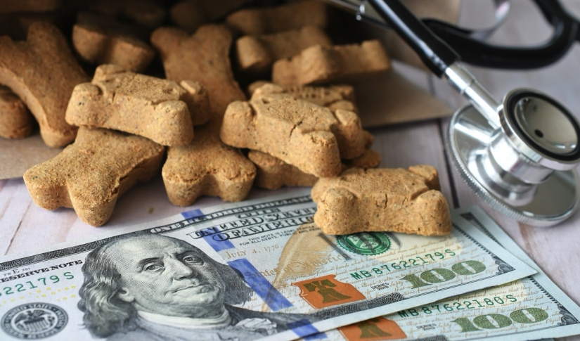 8 Reasons Why Clinics Need Better Veterinary Payment Solutions