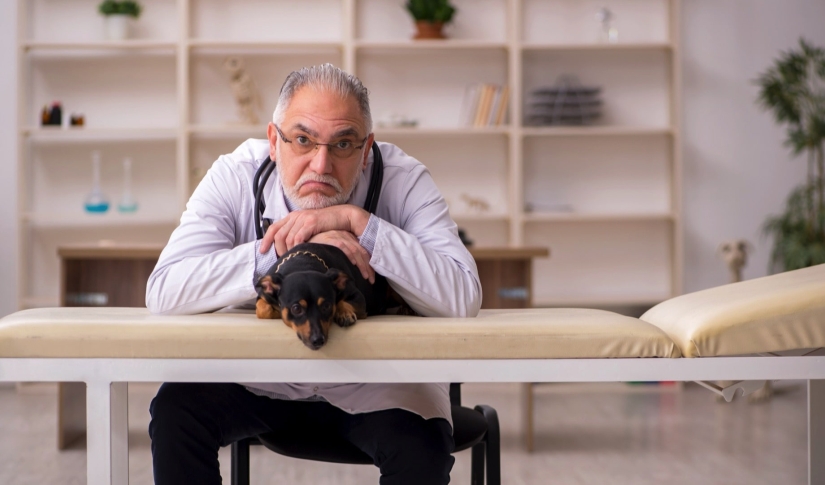 Are You Losing Clients Over Your Veterinary Payment Options