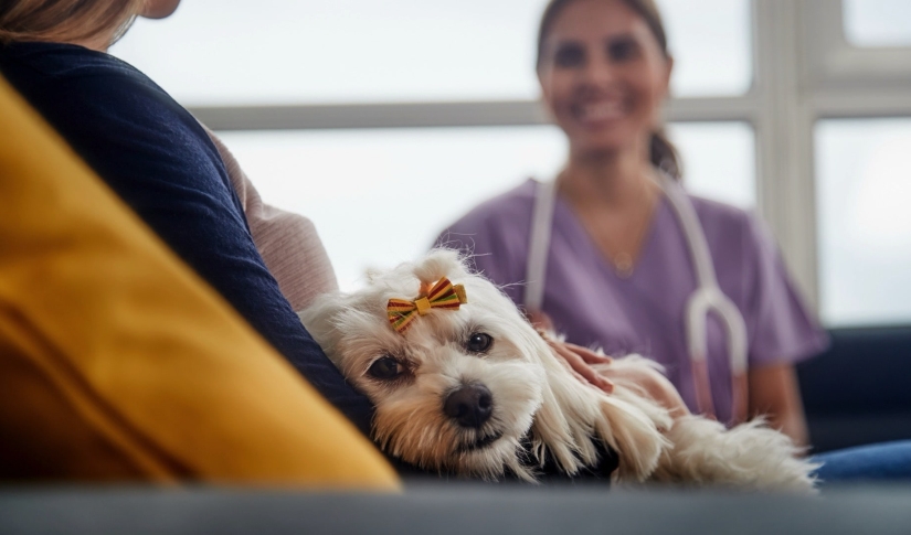 Veterinary Communication Trends What Pet Owners Expect in 2025