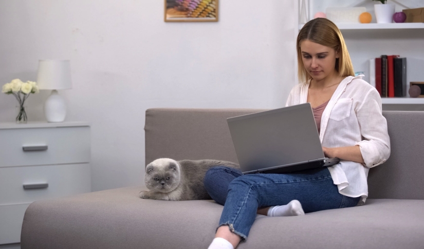 Veterinary Digital Marketing Dos and Donts to Attract New Clients