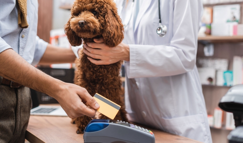 dog and payment