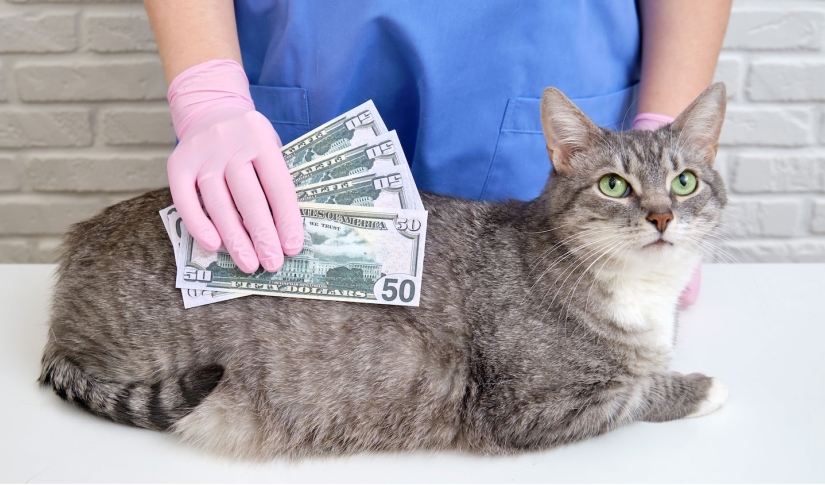 How to increase revenue