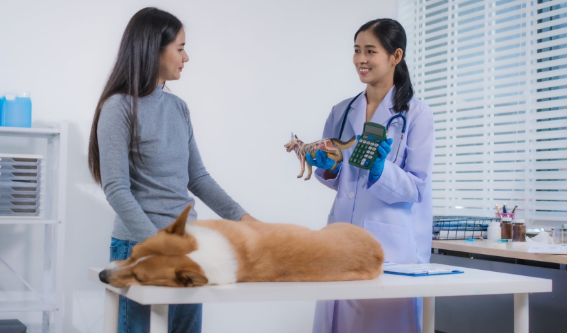 Veterinary Prepayment