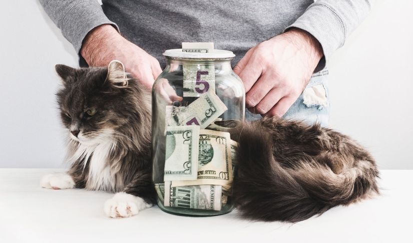 Why Every Veterinary Practice Should Offer Financing Options