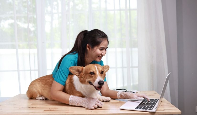 Veterinary Analytics