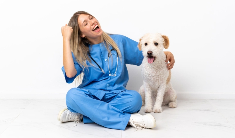 Veterinary Success
