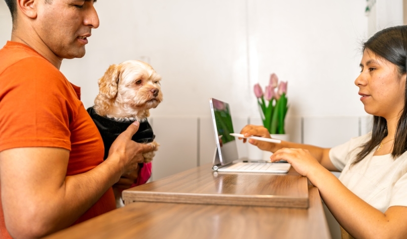 surcharging veterinary practice