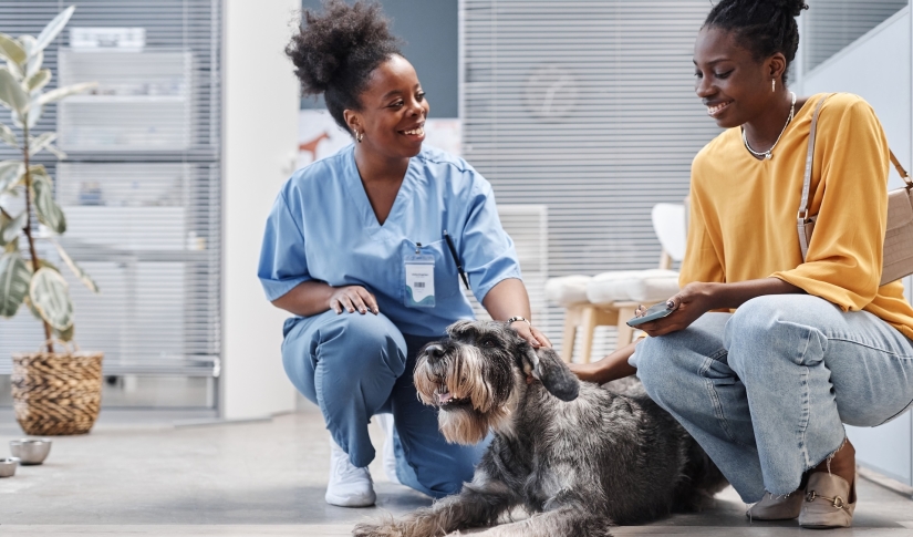 veterinary client communication