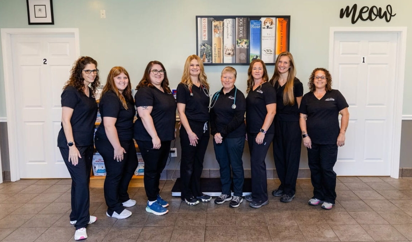 Middle River Veterinary Hospital