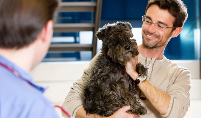 The case for veterinary membership plans