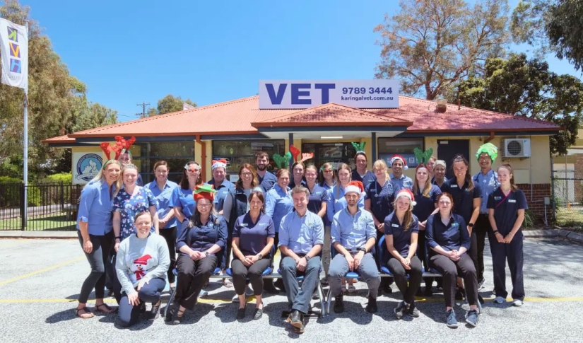 Karingal Vet Hospital