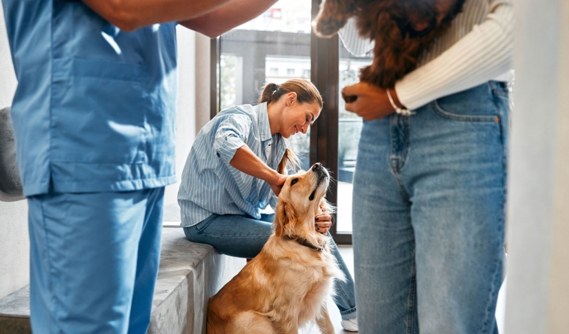 Woman with dog at vet office