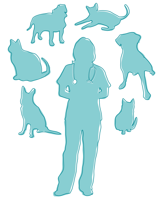 Veterinarian Icon 