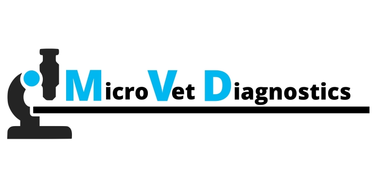 microvet ezyvet