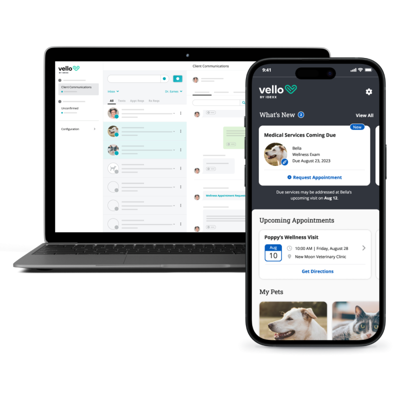 Vello UI