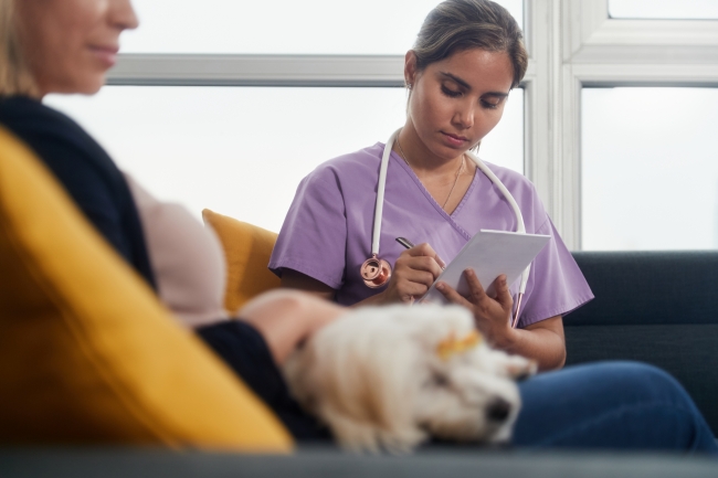 Cloud based veterinary software