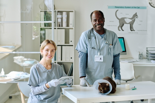cloud based veterinary software